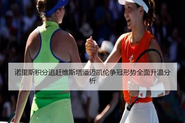 诺里斯积分追赶维斯塔潘迈凯伦争冠形势全面升温分析